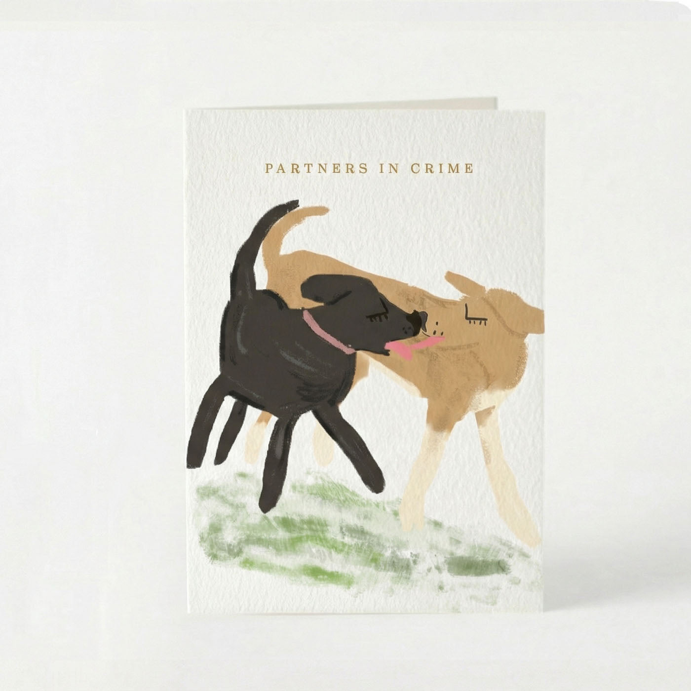 Partners In Crime  Greeting Card