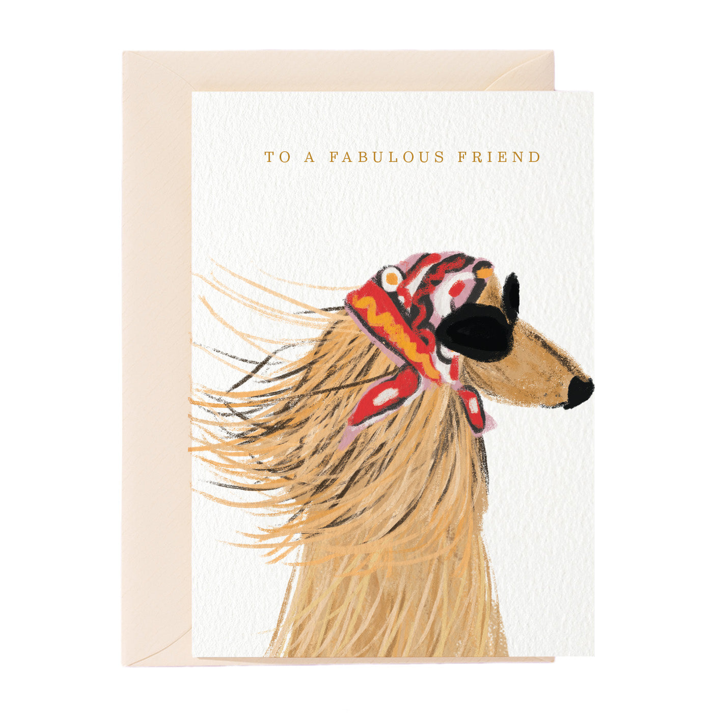 To A Fabulous Friend Dog  Greeting Card